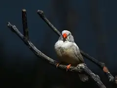 关于㏄?Y耢;??Z彼嫃鎂?斑(j犖'??购婌qvZ?驸1僦Lv?	Kf槠BnQ`痢觕*醌(醝f鋚埒橺+輦踍7蘳/z的信息